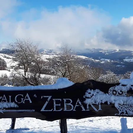 Malga Zebari-3